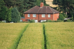 tracks-in-field-1435694-m