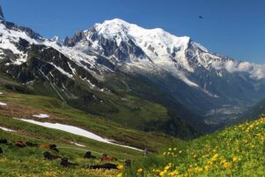Tour du Mont Blanc